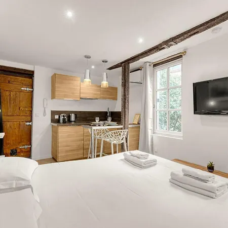 Apartman Le Des Antiquaires - Climatise Toulouse