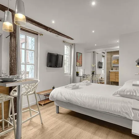 Apartment Le Des Antiquaires - Climatise