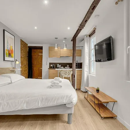 Le Des Antiquaires - Climatise Apartment Toulouse