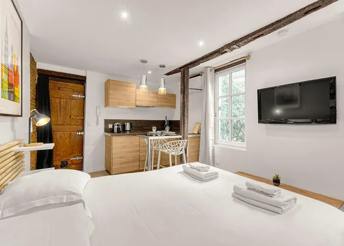 דירה Le Des Antiquaires - Climatise טולוז