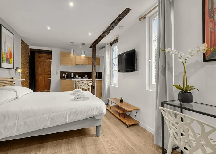 Le Des Antiquaires - Climatise * טולוז