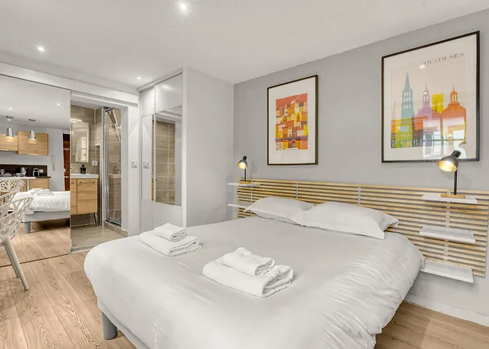 Le Des Antiquaires - Climatise * טולוז