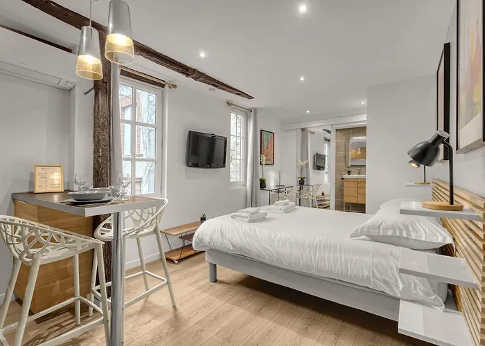 Appartement Le Des Antiquaires - Climatise