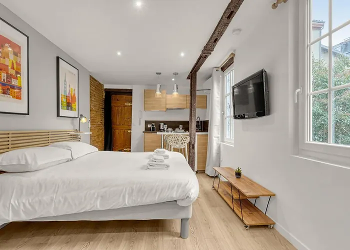 Le Des Antiquaires - Climatise Appartement Toulouse